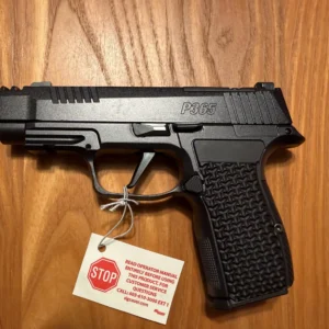 Sig Sauer P365 AXG LUXE 380ACP 2