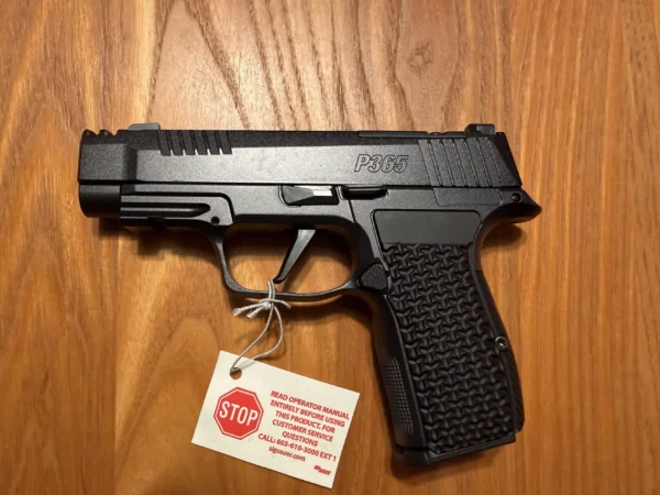 Sig Sauer P365 AXG LUXE 380ACP 2